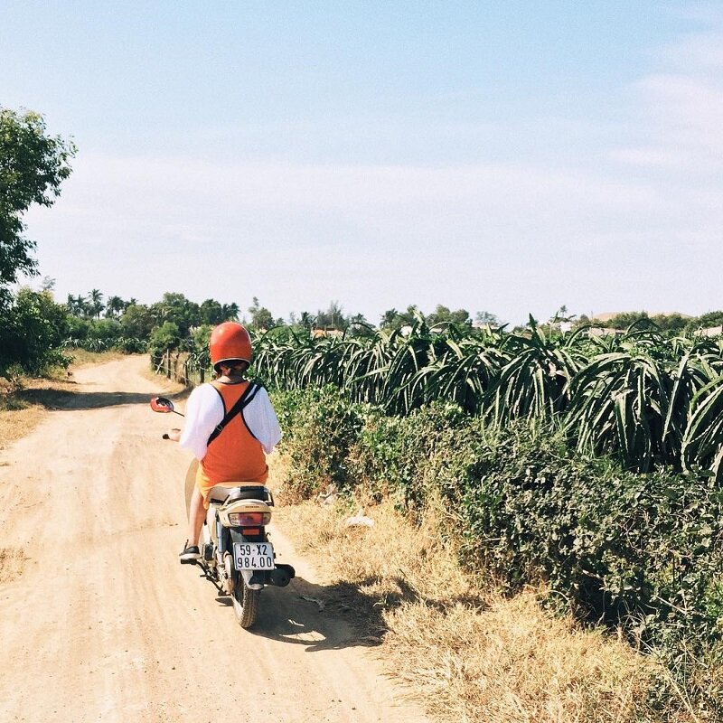 đi hòn rơm phan thiết